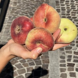 https://ortofruttalesorelle.it/wp-content/uploads/2022/07/pesche-saturnine-300x300.jpg